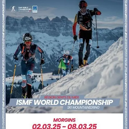 Pool, Morgins, Portes Du Soleil Appartement Morgins