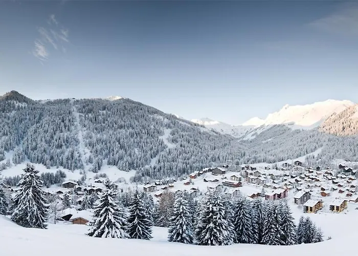 Pool, Morgins, Portes Du Soleil *